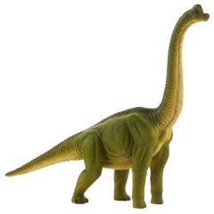 Brachiosaurus XXL
