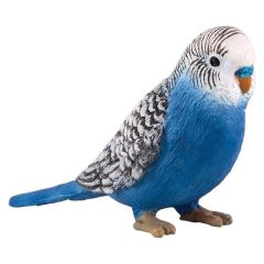 Hullámos papagáj kék S